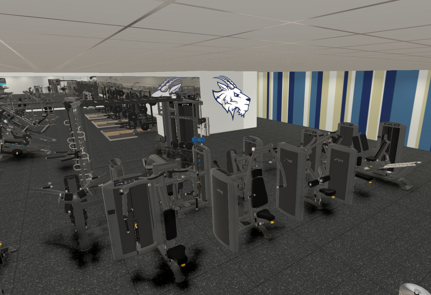 https://truefitness.com/wp-content/uploads/2024/08/Design.jpg