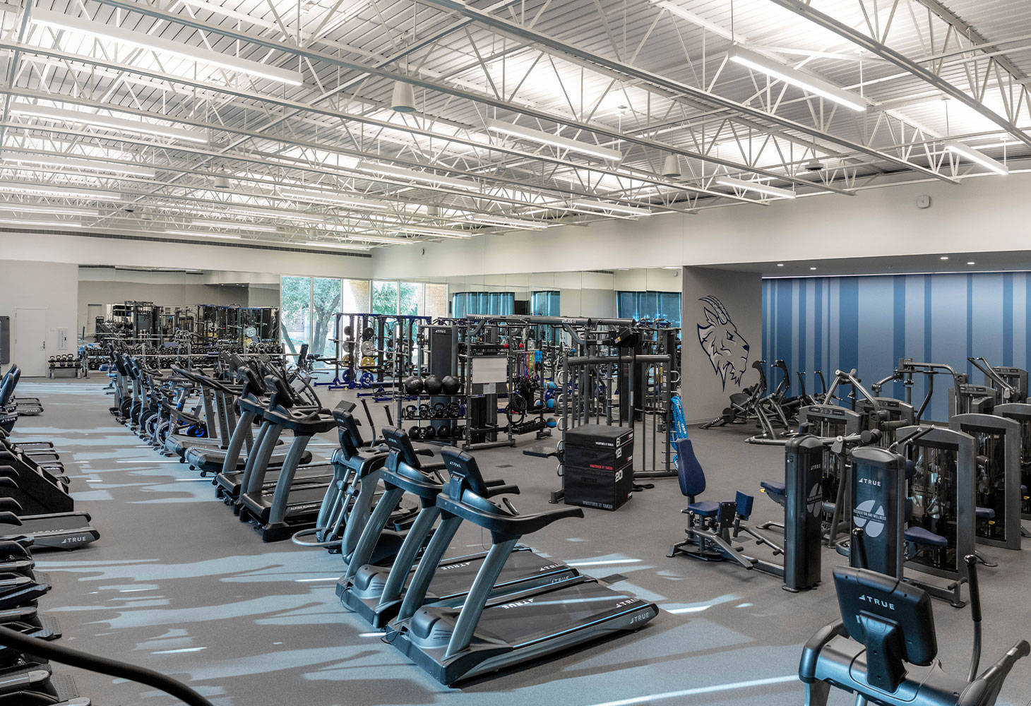 https://truefitness.com/wp-content/uploads/2024/08/Installation.jpg
